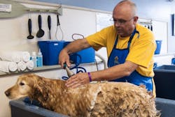 66fb203146a023088913d9fa Screen20shot202017121220at2011 66fb203146a023088913d9fa Screen20shot202017121220at2011