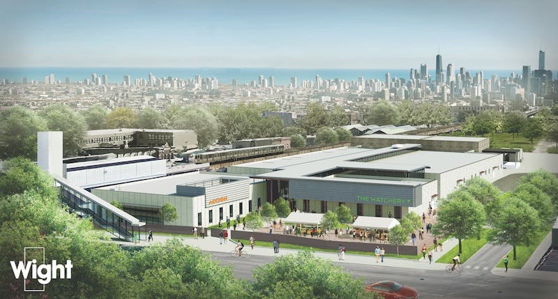 66fb2035783cc90613d80fec Food20incubator120copy