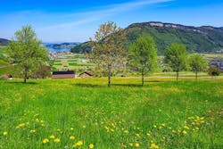 66fb203f6913961f394baef0 Green 11 66fb203f6913961f394baef0 Green 11