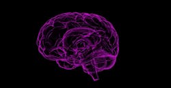 Call for research partners: The neuroscience behind decision making in AEC Call for research partners: The neuroscience behind decision making in AEC