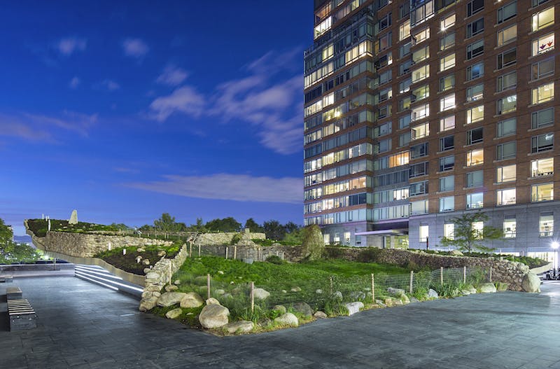 66fb2052f503dd6ebe7668b3 Irish20hunger20memorial20renov2014420med