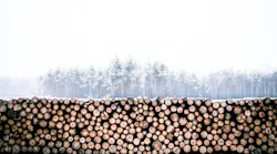 Lumber