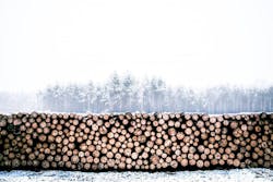 66fb2057691396e4184baf21 Lumber 1 66fb2057691396e4184baf21 Lumber 1