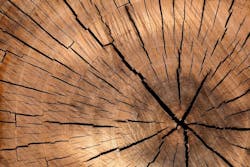 66fb207a52301856b3076fff Wood 8 66fb207a52301856b3076fff Wood 8