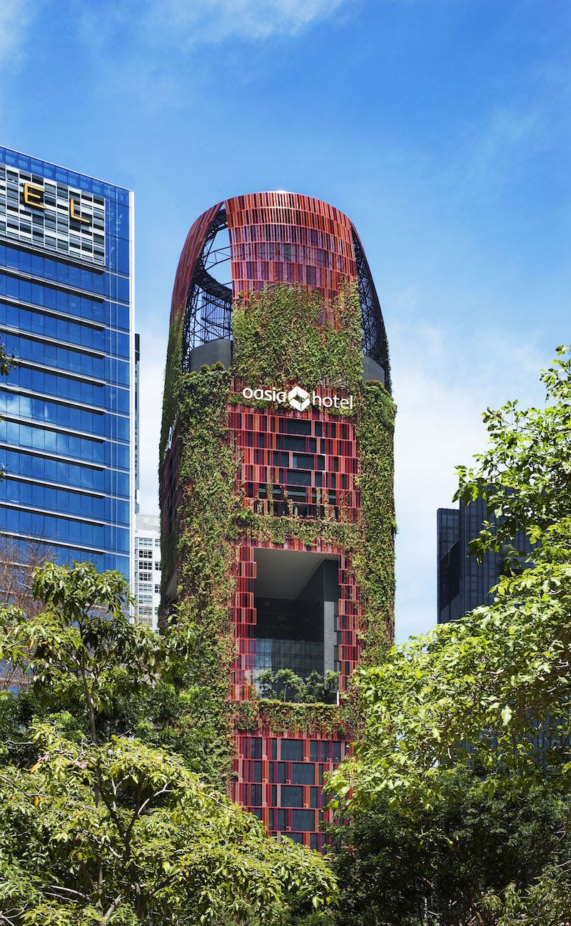 66fb20802ac3a55a1e199d50 Oasia20downtown20hotel20c20patarick20binghamhall