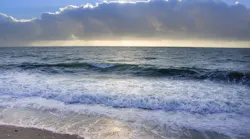 Sea