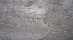 Cement