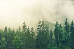 66fb20b71a3f595c5dd50e2b Fog3622519 960 720 66fb20b71a3f595c5dd50e2b Fog3622519 960 720