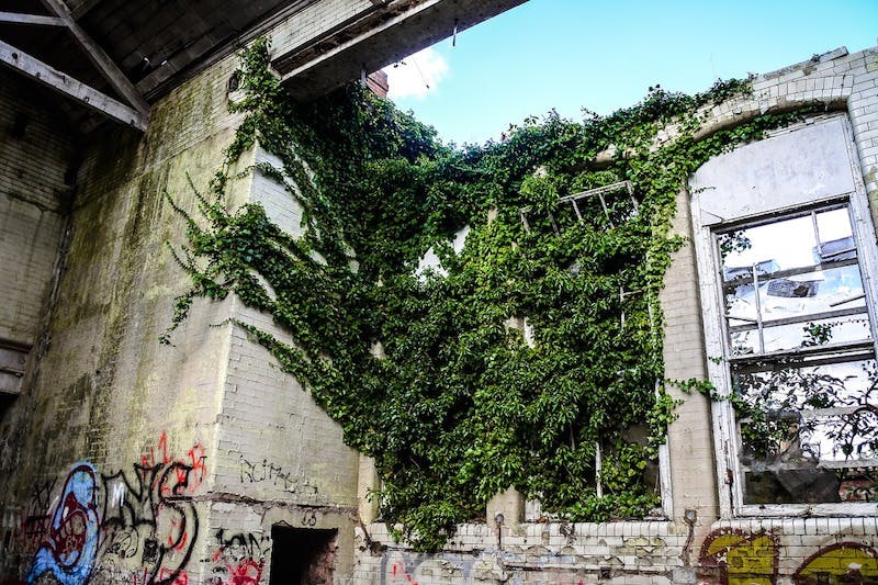 66fb20b9816f264518c3b1cb Lowincome