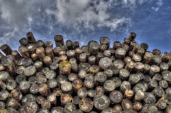 66fb20ba783cc933ffd810ef Timber 4 66fb20ba783cc933ffd810ef Timber 4