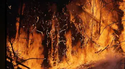Wildfire 1 A