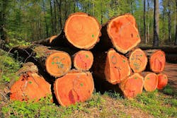 66fb20d55230184e370770c6 Wood 14 66fb20d55230184e370770c6 Wood 14