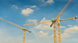 Cranes
