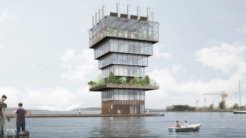 66fb20e3b398871eb40ff163 Superfarm5