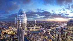 A Tulip is ready to bloom in London