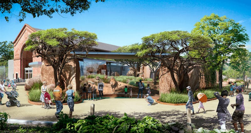 66fb210df503dd7148766a21 Bl Lh