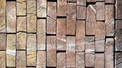 Timber