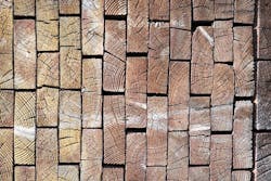 66fb214a691396304f4bb11d Timber 5 66fb214a691396304f4bb11d Timber 5