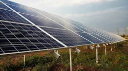 Renewable