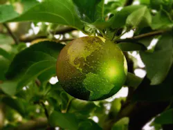 66fb216c2ac3a5559a199eee Sustainability 0 66fb216c2ac3a5559a199eee Sustainability 0