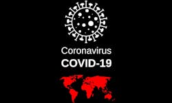 What can we learn from the coronavirus pandemic? What can we learn from the coronavirus pandemic?