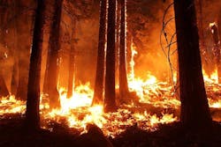 66fb21bcb39887370a0ff301 Wildfire 1 66fb21bcb39887370a0ff301 Wildfire 1