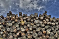 66fb21bf816f26e47bc3b3fa Logs 66fb21bf816f26e47bc3b3fa Logs