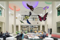 66fb21cc691396f5604bb215 Jenniferlawrence Cicu 66fb21cc691396f5604bb215 Jenniferlawrence Cicu