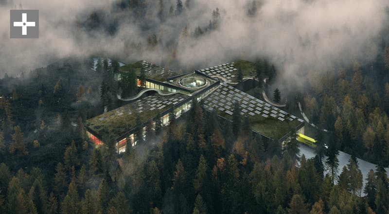 66fb21e8b3988728ea0ff354 Plus1