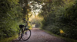 Cities to boost spending on green initiatives after the pandemic