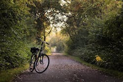 Cities to boost spending on green initiatives after the pandemic Cities to boost spending on green initiatives after the pandemic