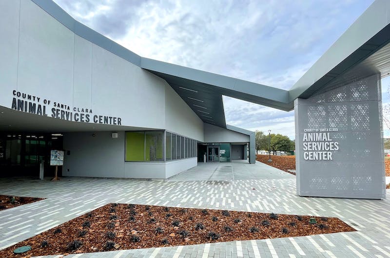 66fb2255f503dd820d766c7d Image20120santa20clara20animal20services20center20