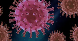 66fb2289369555f20d4229a0 Covid 0 66fb2289369555f20d4229a0 Covid 0