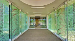 Treating Glass as a Canvas, Vitro Architectural Glass article Starphire