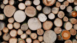 Lumber 2