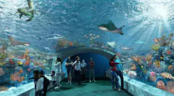 Shedd1