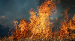 Wildfire