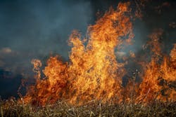 66fb22e2b39887d4c40ff573 Wildfire 66fb22e2b39887d4c40ff573 Wildfire