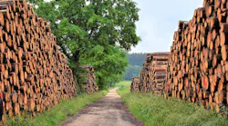 Wood
