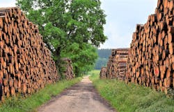 66fb22e346a023884c13dff6 Wood 66fb22e346a023884c13dff6 Wood