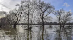 Flood 2