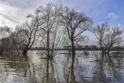 66fb22ed2ac3a56b3119a220 Flood 2 66fb22ed2ac3a56b3119a220 Flood 2