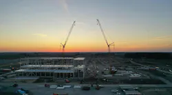 Crane Pichero