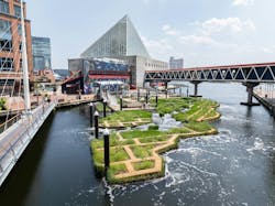 Baltimore’s National Aquarium opens 10,000-sf floating wetland that mimics the harbor’s original tidal marsh habitat, Photo: Philip Smith, National Aquarium Baltimore’s National Aquarium opens 10,000-sf floating wetland that mimics the harbor’s original tidal marsh habitat, Photo: Philip Smith, National Aquarium