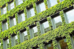 Image by Belinda Cave from Pixabay Image by Belinda Cave from Pixabay