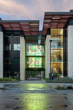 Stanford Morphonenesis mesh display Stanford Morphonenesis mesh display