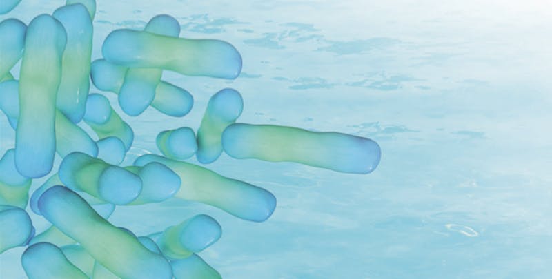 66fc15ca36955592f8423c99 Hai