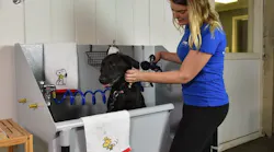 Cool Dog Wash Tub 1