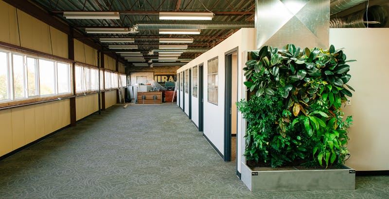 A century-old furniture factory gets a living wall biofilter for better air