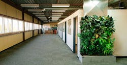 A century-old furniture factory gets a living wall biofilter for better air A century-old furniture factory gets a living wall biofilter for better air